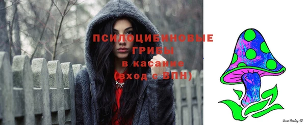 ешки Дмитровск