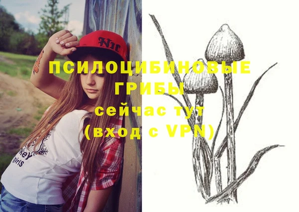 ешки Дмитровск